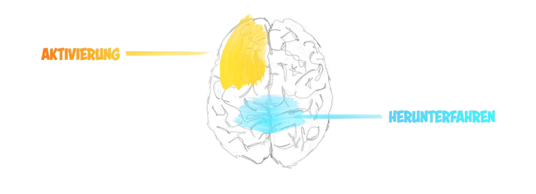 BrainPerformance Fokus+