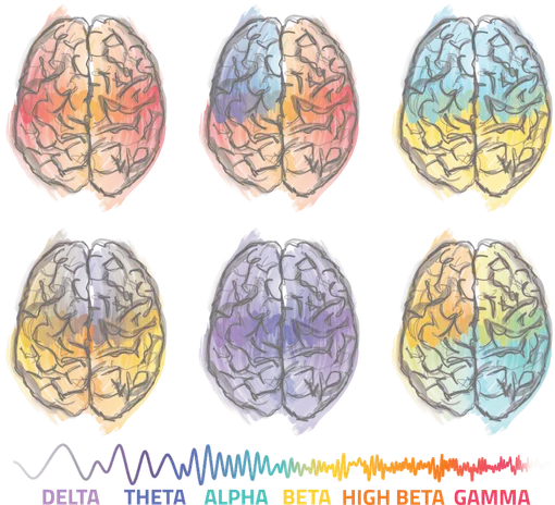 Sketch of different brain types and their dominant frequency bands