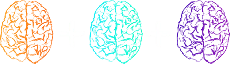 X-Performance - colored brains