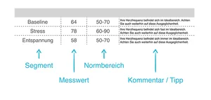 Example of an evaluation with segment, measured value, normal range and comment / tip