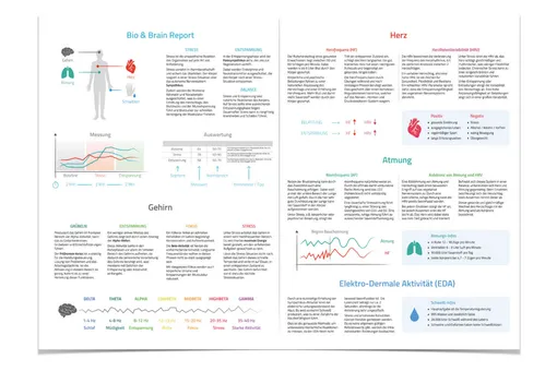 Open Bio&BrainReport with evaluations of brain, heart, breathing and skin conductance